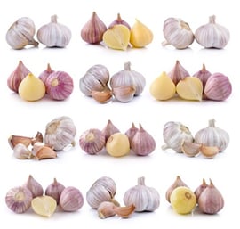 garlic-varieties-02